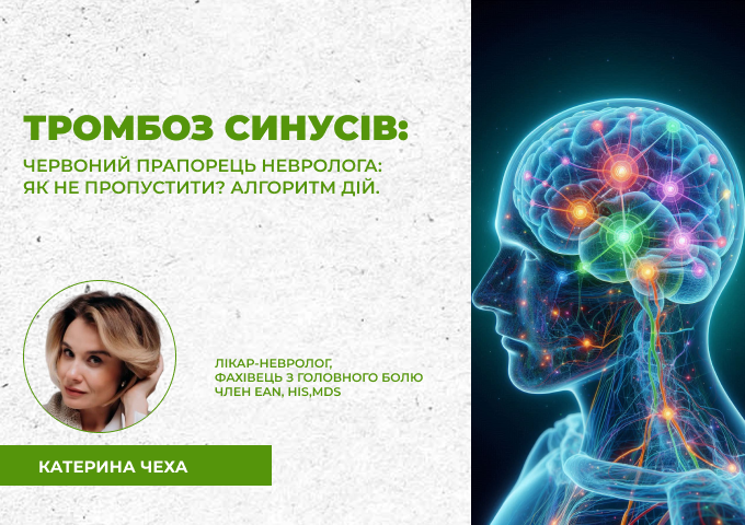 link 12.03.25