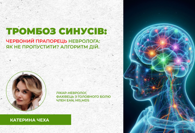 link 12.03.25 (2)