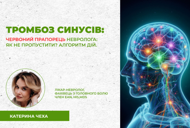 link 12.03.25 (2)