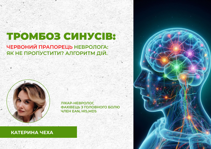 link 12.03.25 (2)
