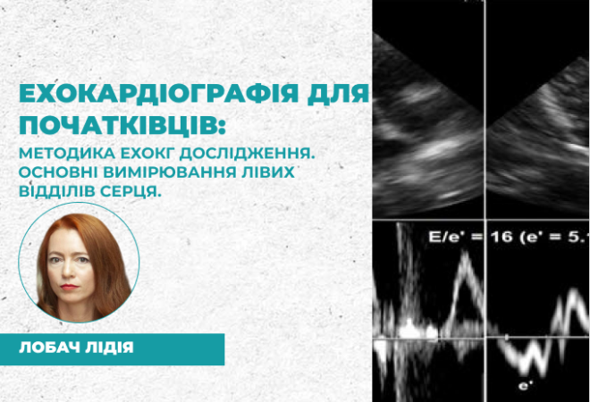 link 26.03.25