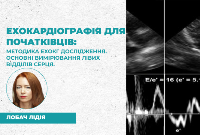 link 26.03.25