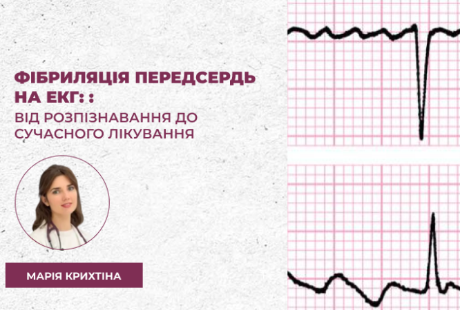 link 27.03.251