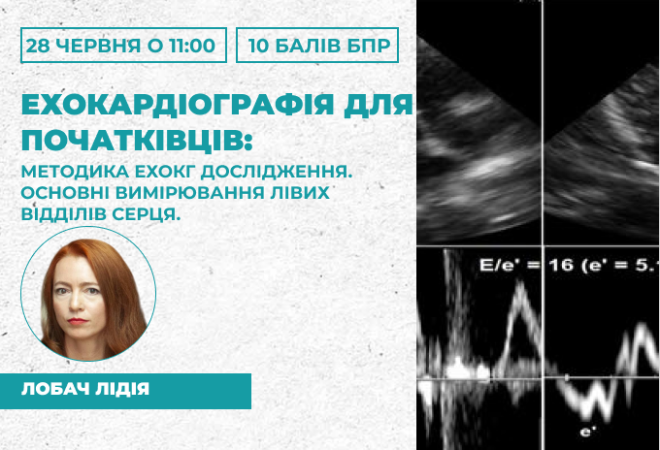 Ехокардіографія для початківців Методика ехокардіографічного дослідження. Основні вимірювання лівих відділів серця.