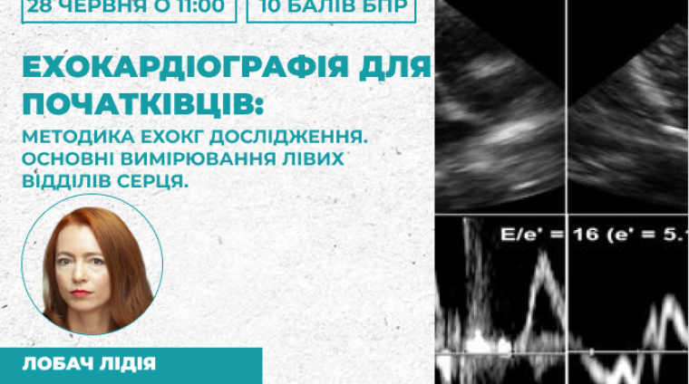 Ехокардіографія для початківців Методика ехокардіографічного дослідження. Основні вимірювання лівих відділів серця. Ехокардіографія для початківців Методика ехокардіографічного дослідження. Основні вимірювання лівих відділів серця.