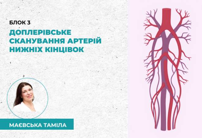 link 25.03.25