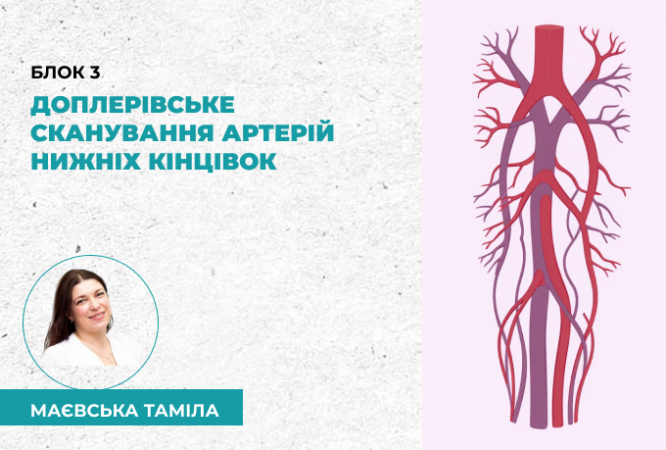 link 25.03.25