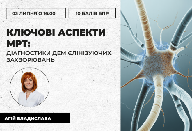 link 25.03.25