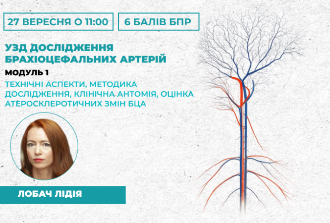 link 26.03.25 (17)