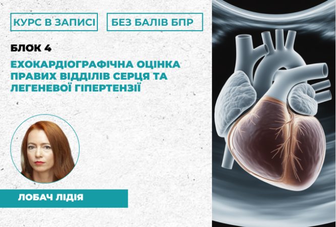 link 26.03.25 (18)