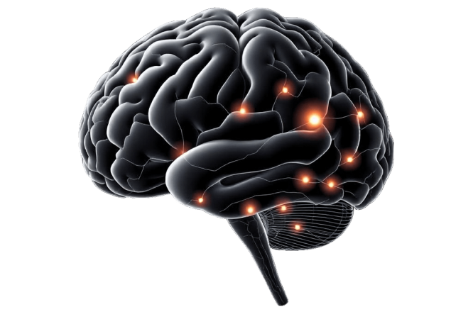 мініатюра курсу