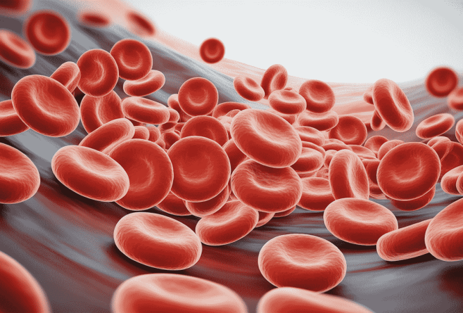 резус фактор (1)