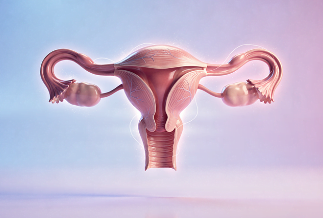 мініатюра курсу