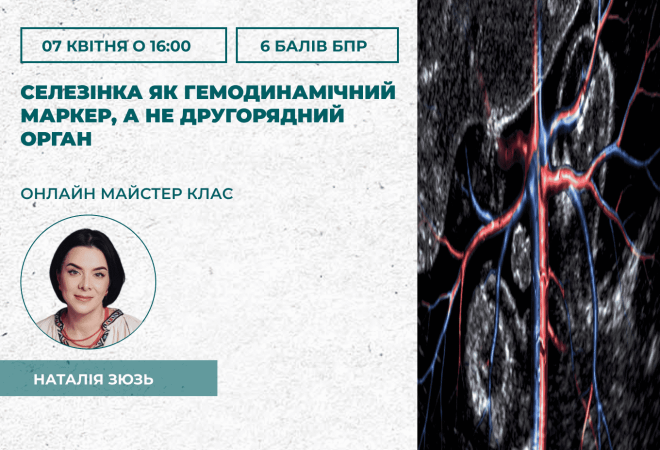 Селезінка як гемодинамічний марк (1)