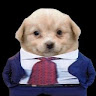 Profile picture of oleg pantak
