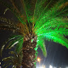Profile picture of Nanuchia Sv